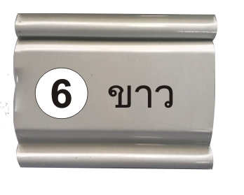 สีพิเศษ #5
