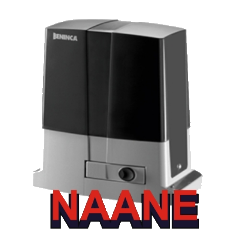NAANE